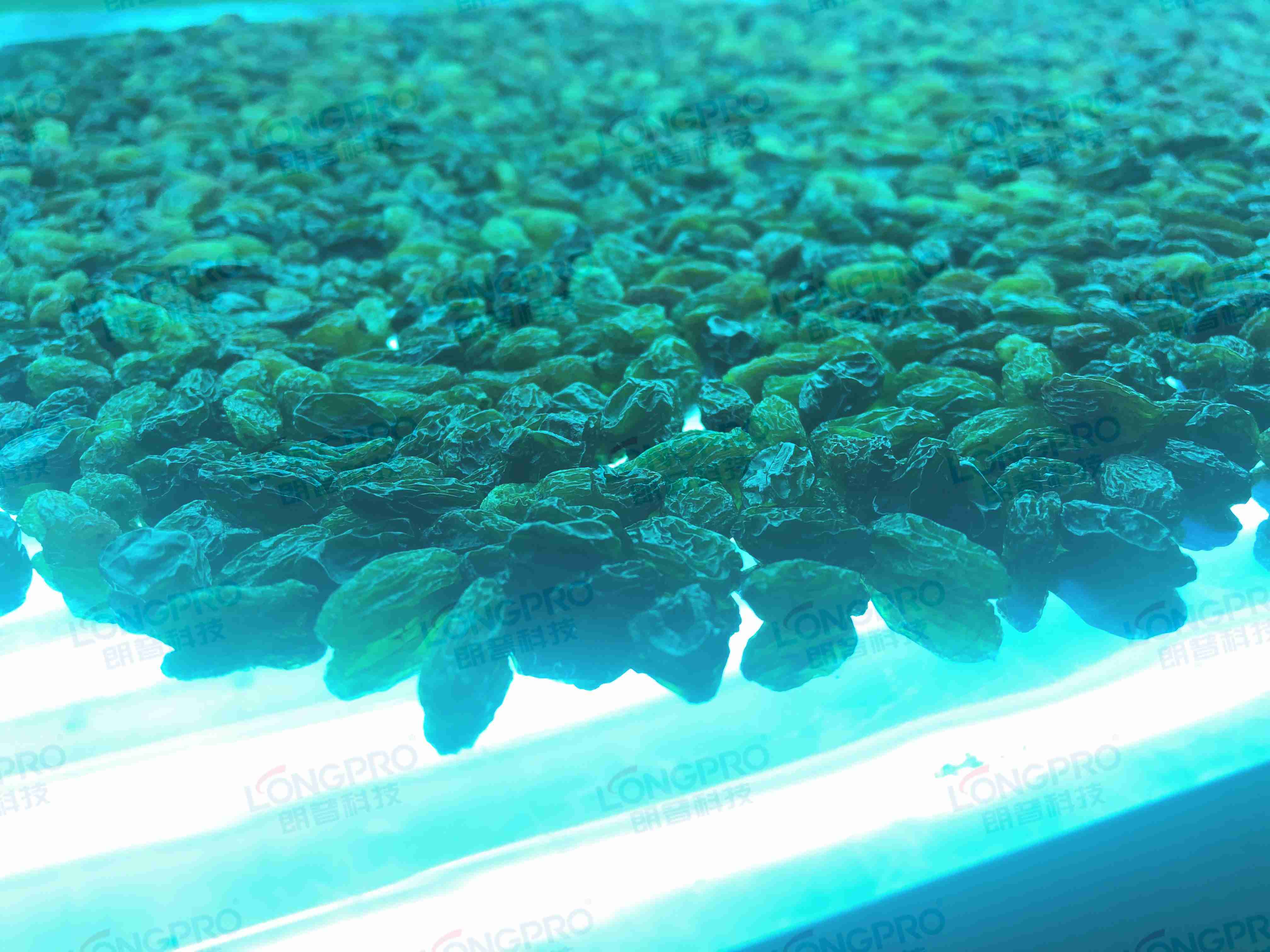 食品細(xì)菌超標(biāo)怎么解決？utf-8