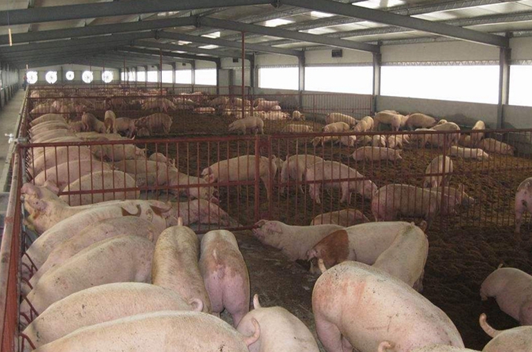 養(yǎng)殖場(chǎng)適合用紫外線消毒燈嗎？